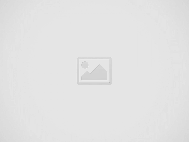 Marshmallow Car Insurance Reviews