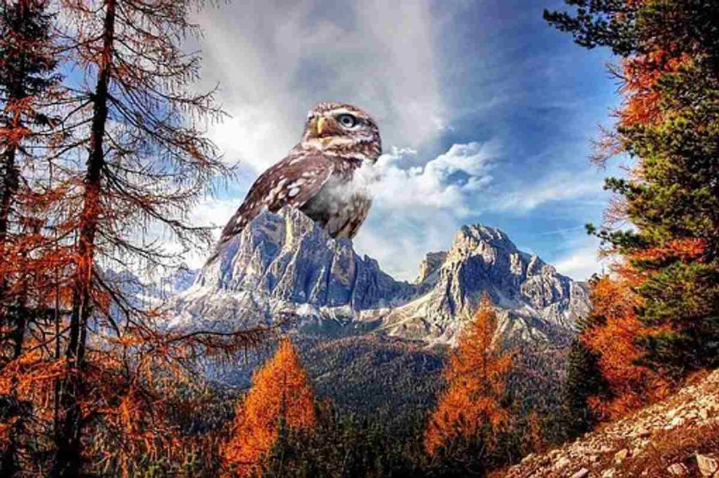 Gimp Photo Editing Software