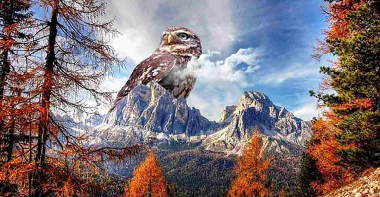 Gimp Photo Editing Software - Getting Free Digital Photography Software 1 Gimp Photo Editing Software