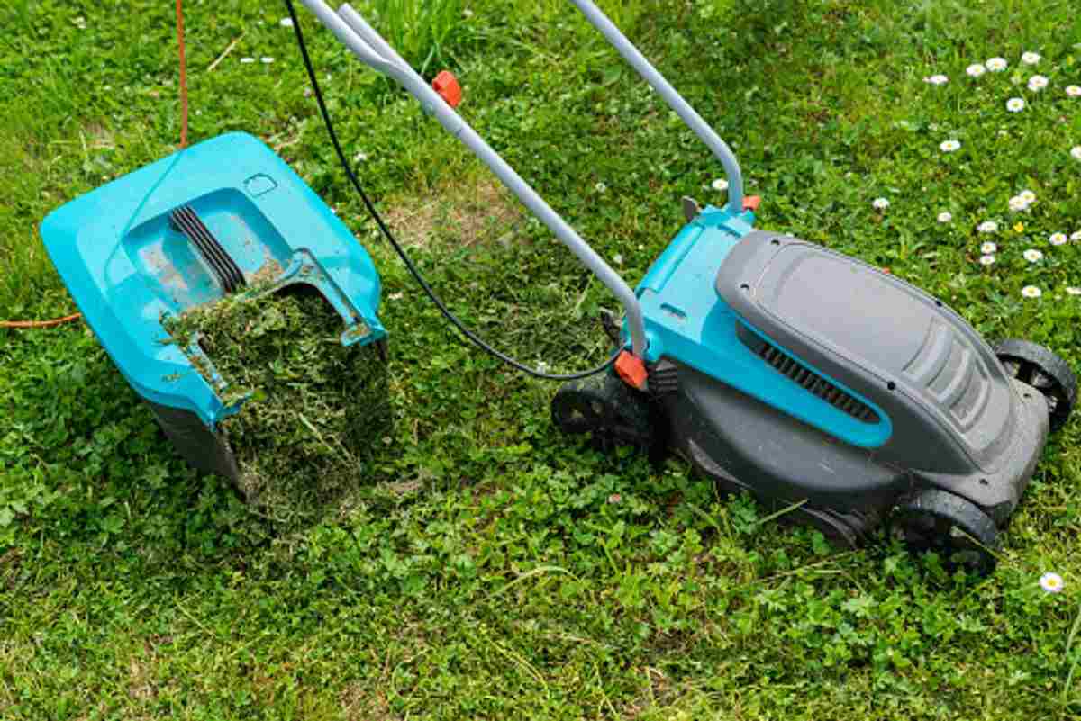 Makita Cordless Lawn Mower review