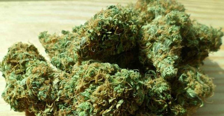 Order wonder skunk online - How to pick the Best 1 Order wonder skunk online