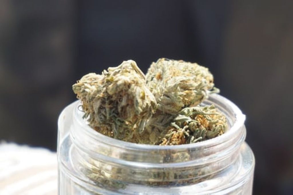 Rainbow Sherbert Strain
