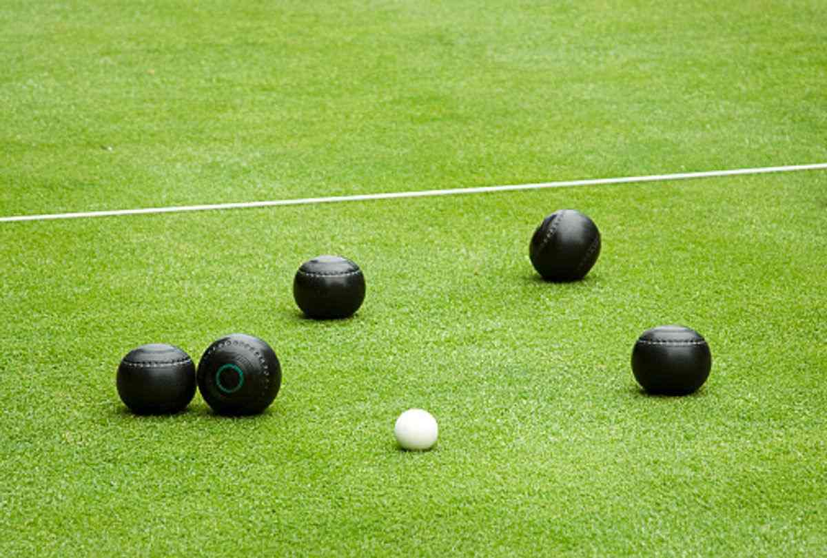 lawn bowls lifter