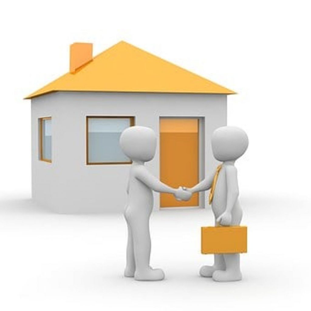 Real Estate Agent