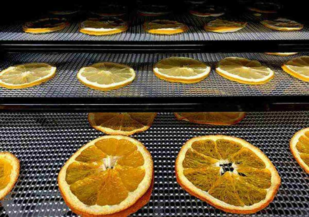 Buying a Food Dehydrator
