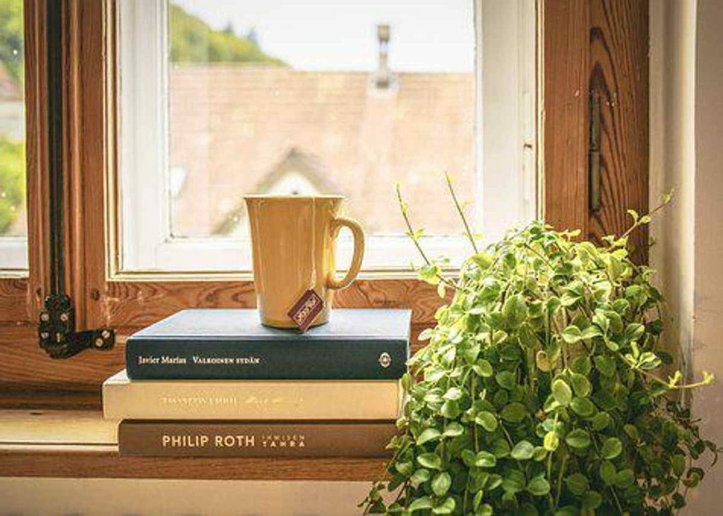 Comparison between vacuum glazing & double glazing