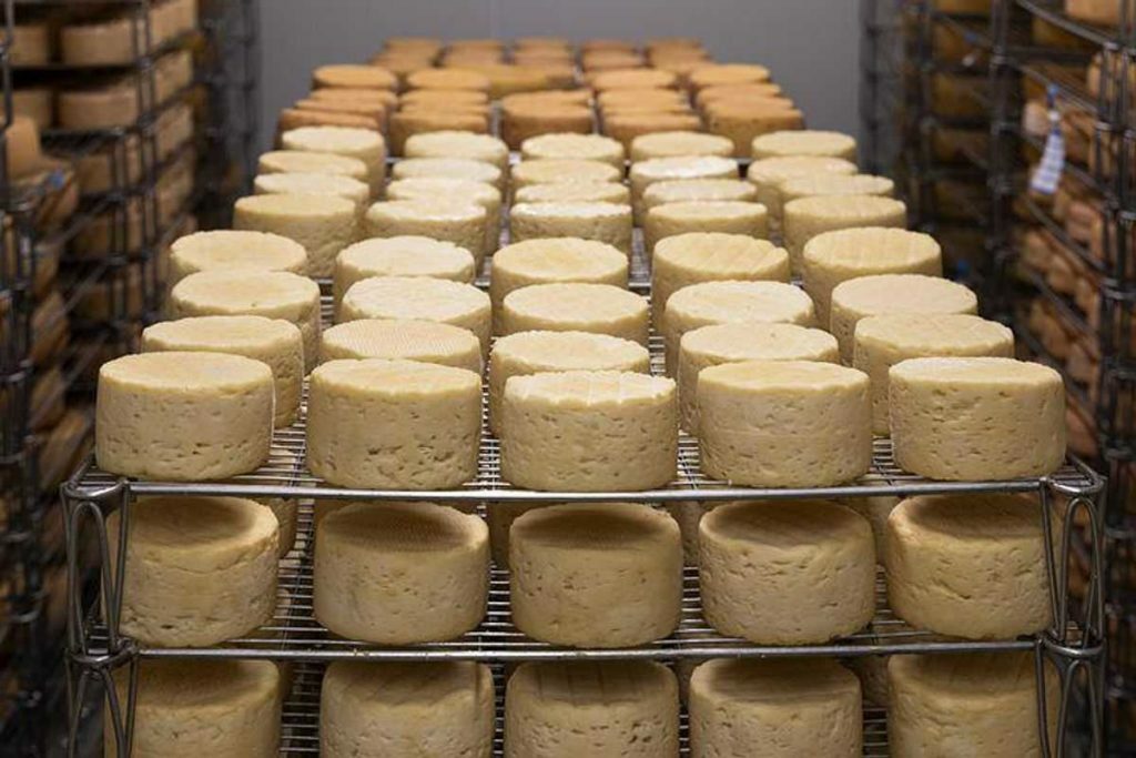 Food Manufacturer's