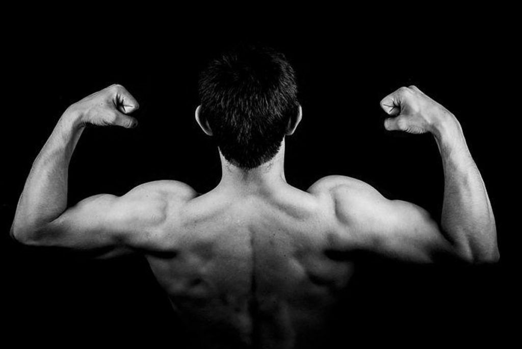 How to Get Big Biceps Fast