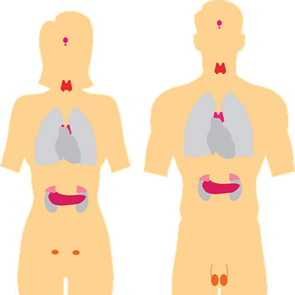 What Are the Symptoms of Thyroiditis