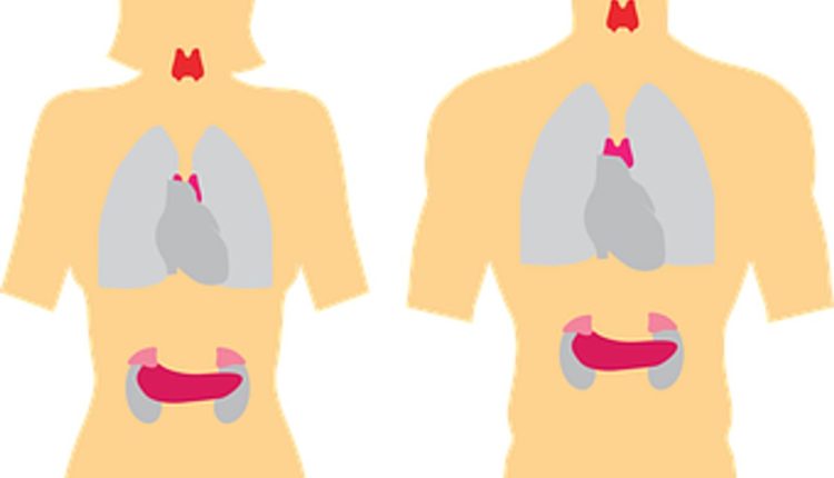 What Are the Symptoms of Thyroiditis