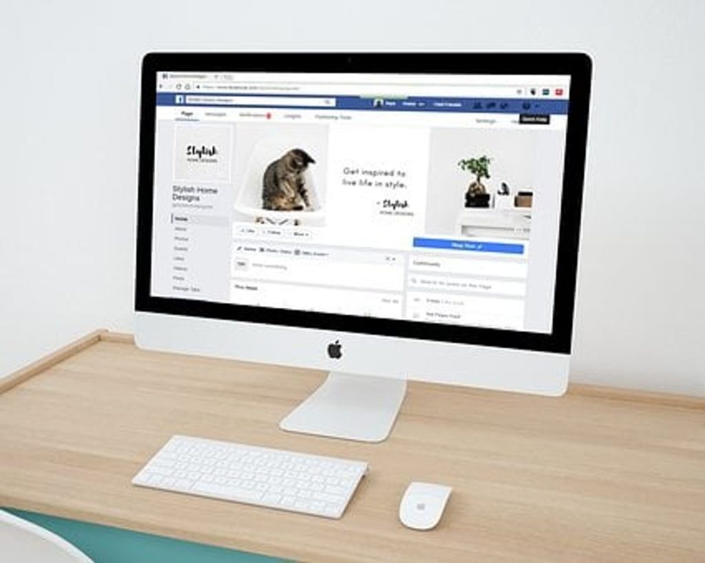Your Small Business Website is Up
