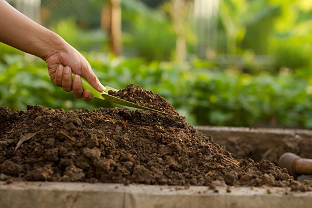 Best Organic Fertilizer