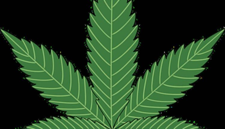 Weed Shop in New Zealand