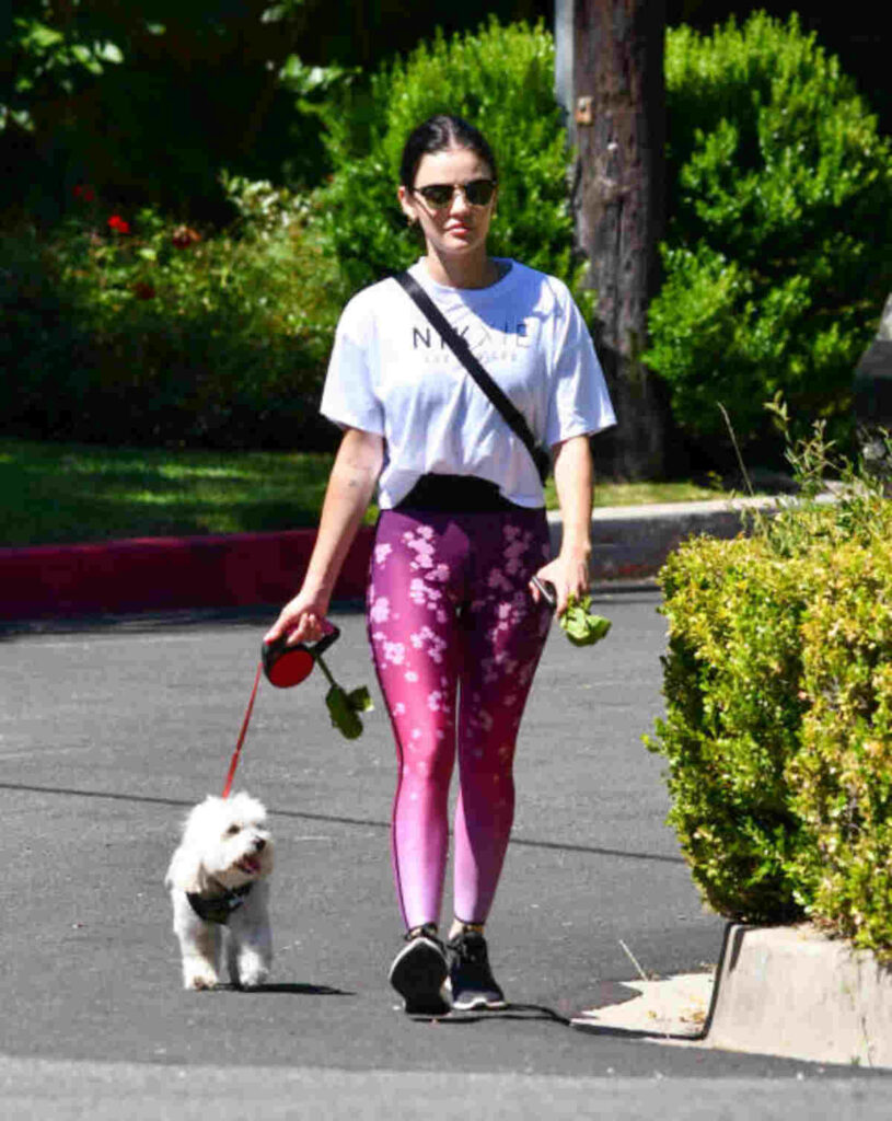 Pink Soda Leggings Review
