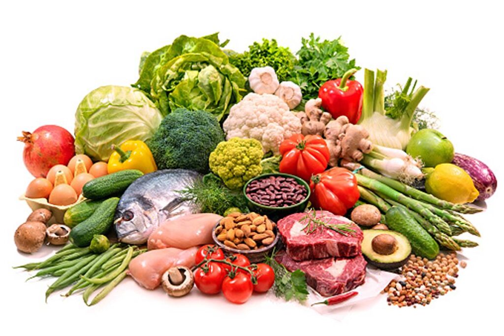 The Paleo Diet Nutritional Lifestyle