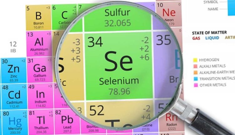 selenium webdriver tutorial