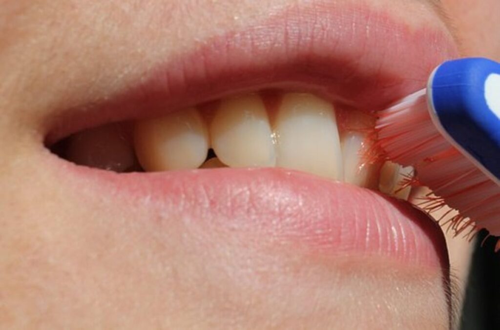 metlife dental insurance reviews
