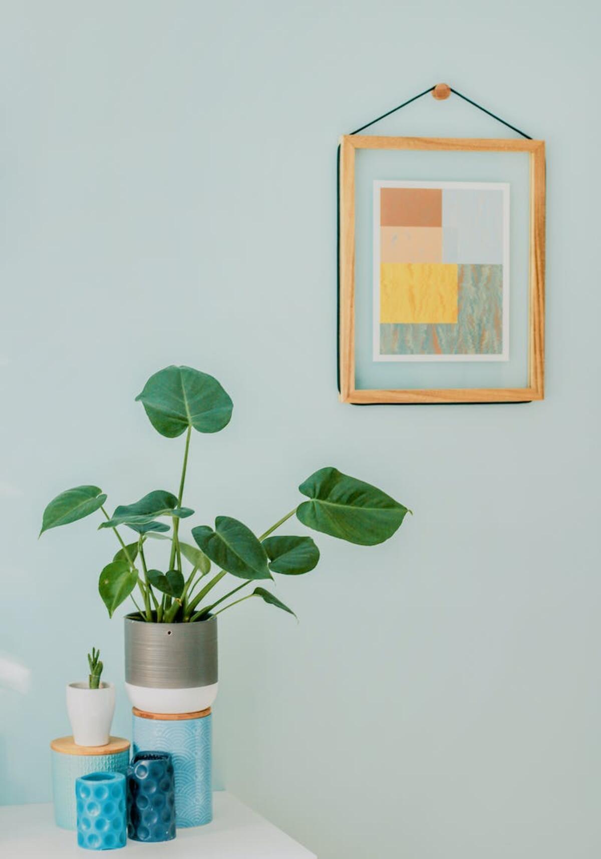 indoor plant decor