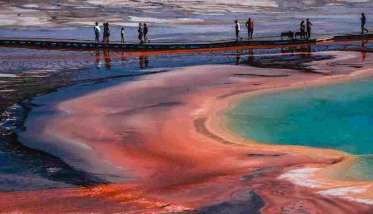 rainbow springs state park