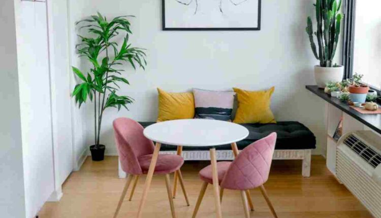 indoor plant decor