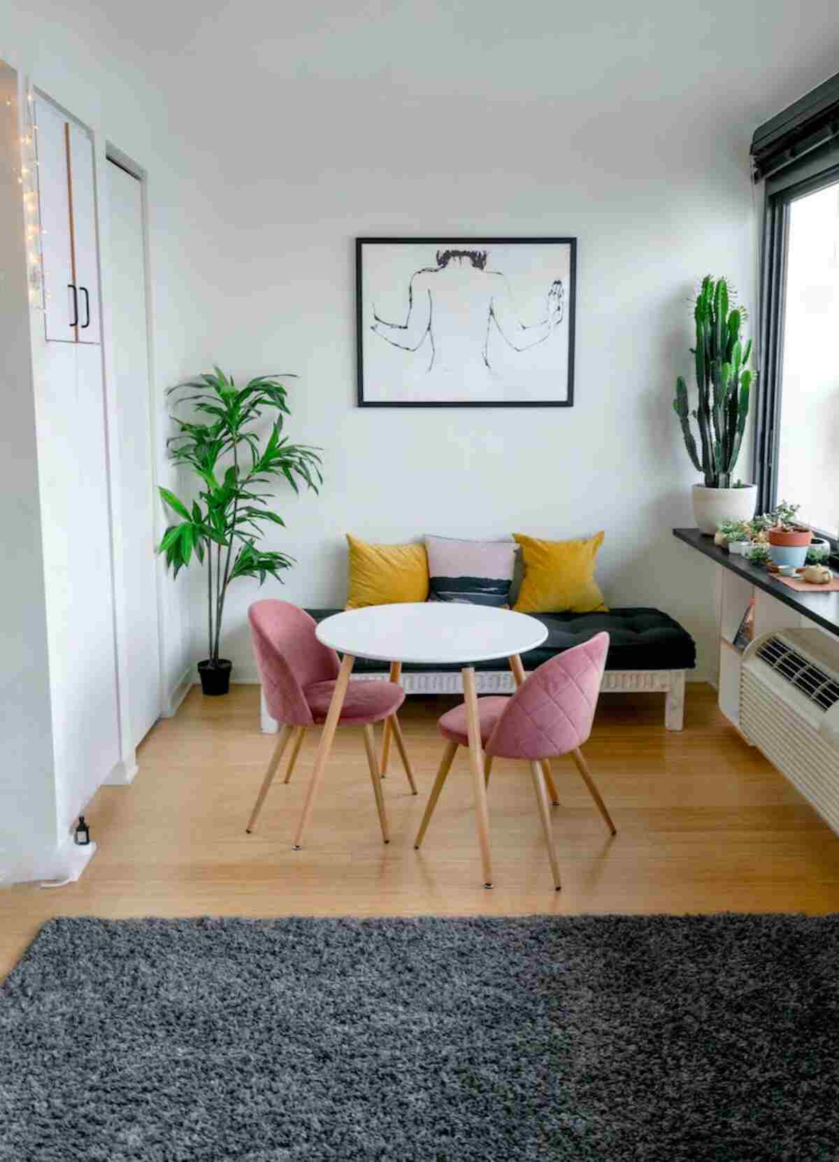 indoor plant decor