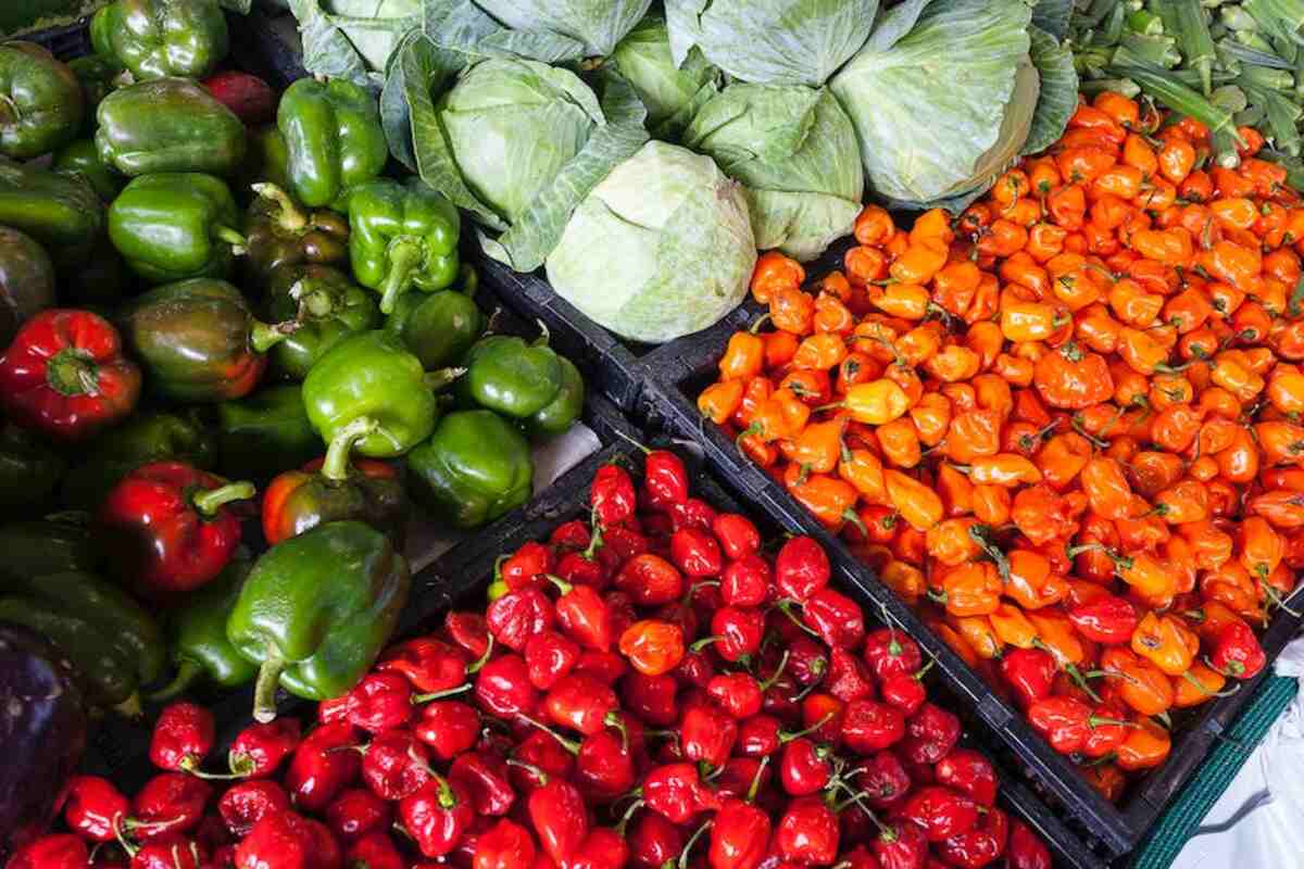 Top 10 Supermarkets in Washington