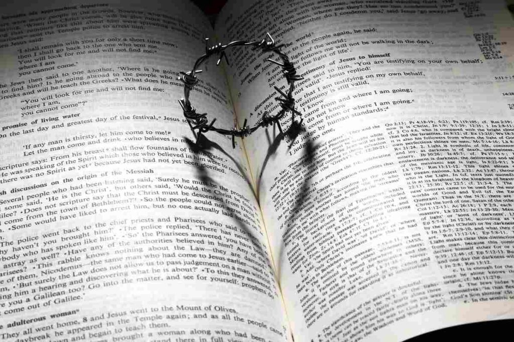 Bible Verse of the Day: Fresh Start - Isaiah 43:18-19 1 Bible verse of the day