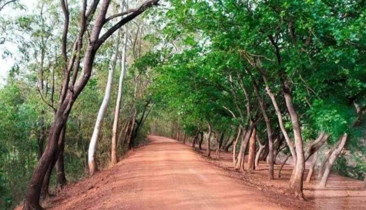 Best places to visit in Shantiniketan