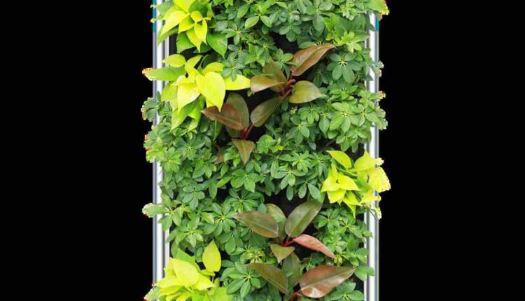 air purifier
