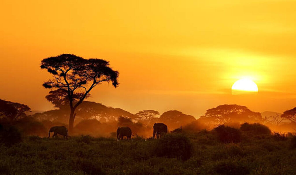 Immersive travel experiences in Kenya