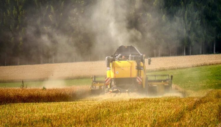 grain dust