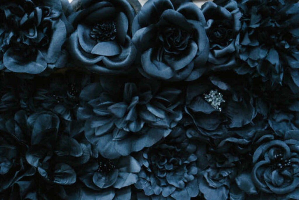 Black Plants