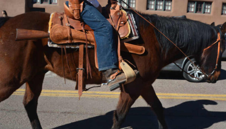 Parts of a Saddle