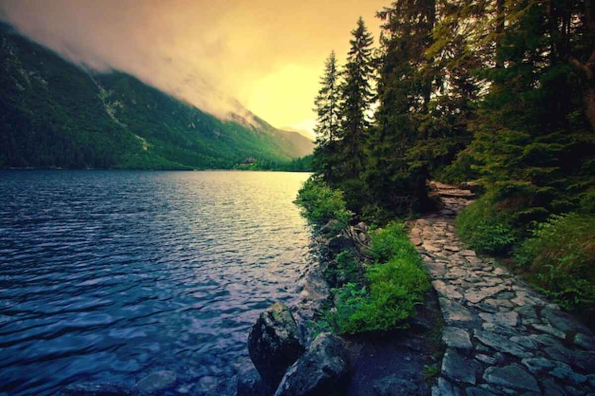 Ripplewater