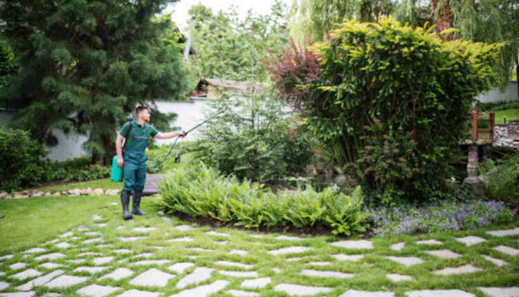 pest control Irvine