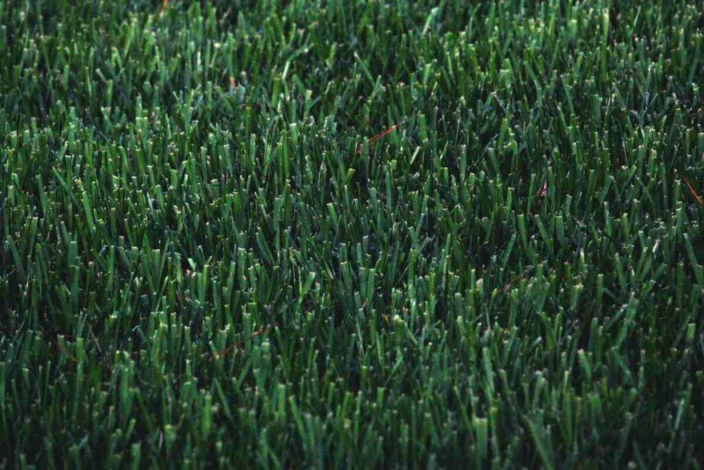 Liquid aeration lawn