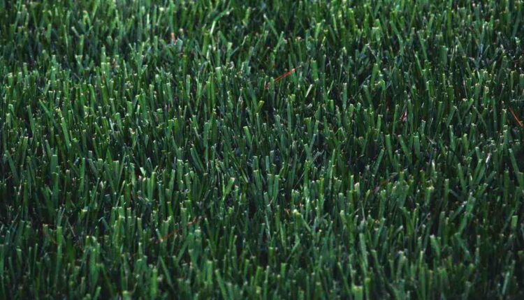Liquid aeration lawn