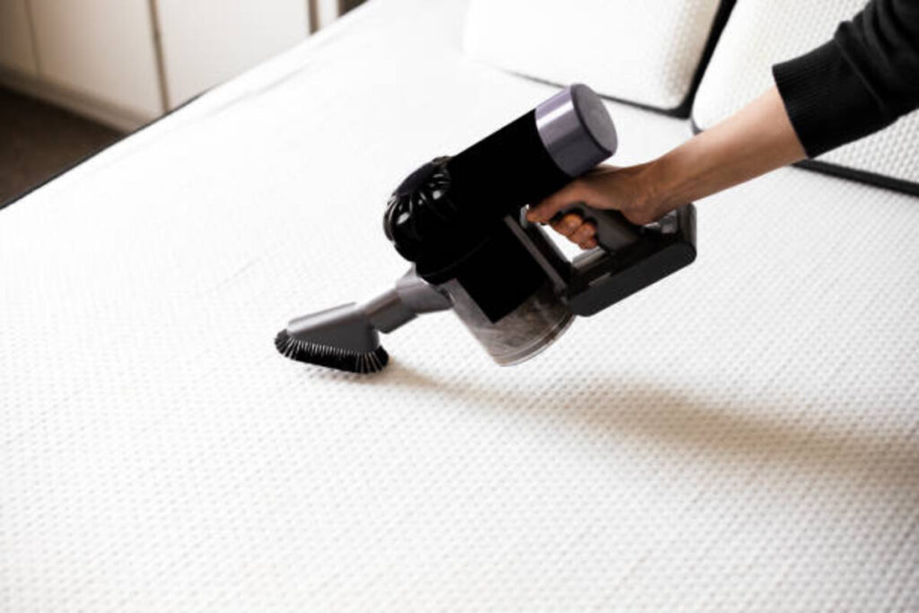 Valencia Pro Cleaning Agency reviews