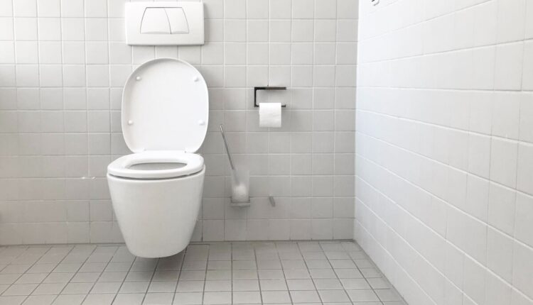 toilet flush handle