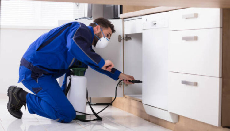 Pest Control Services