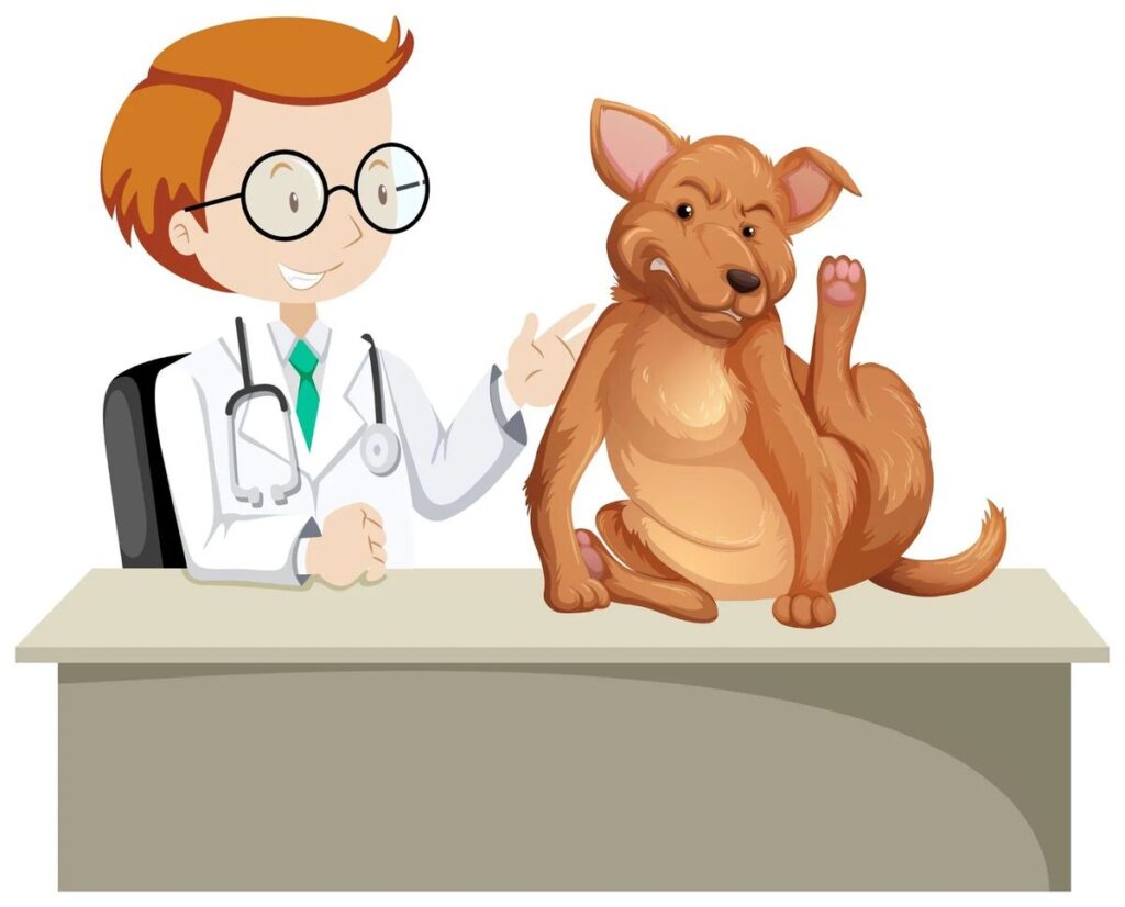 facts about veterinarians
