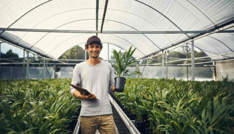 selling plants from home