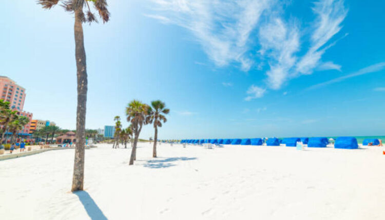 venice florida rentals