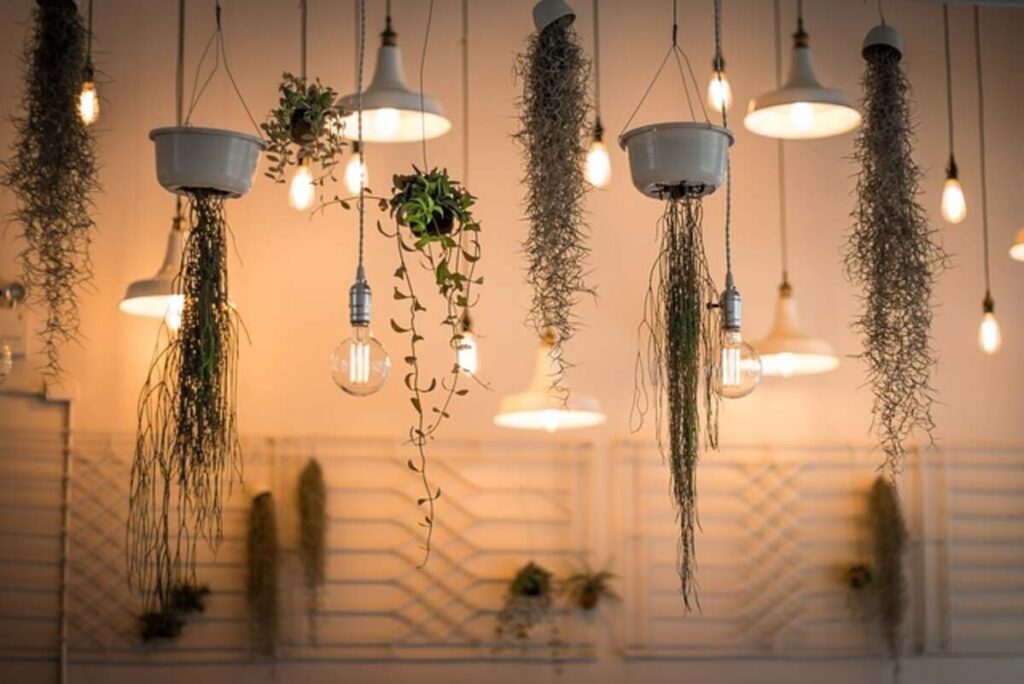 7  Decor Items  That Are Perfect