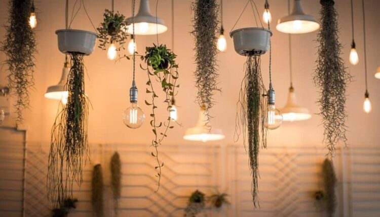 7  Decor Items  That Are Perfect