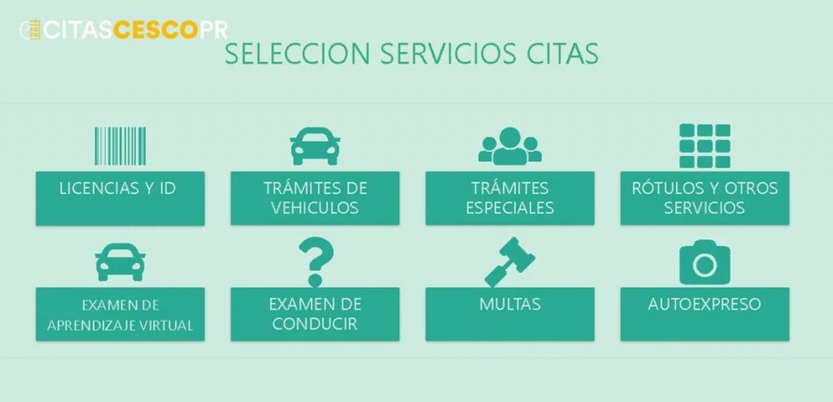 cesco citas