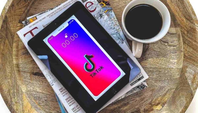 tiktok video downloader online