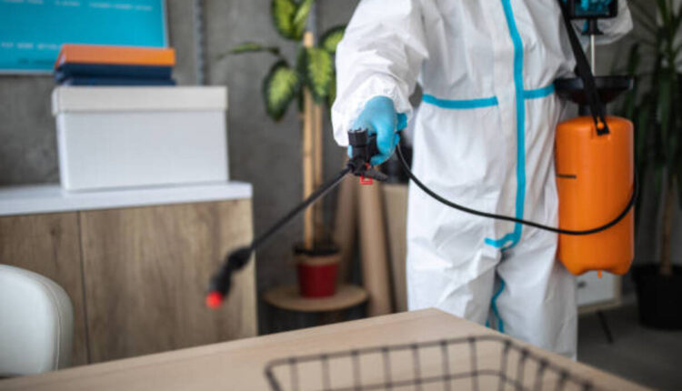 Pest-Free Living in Seattle