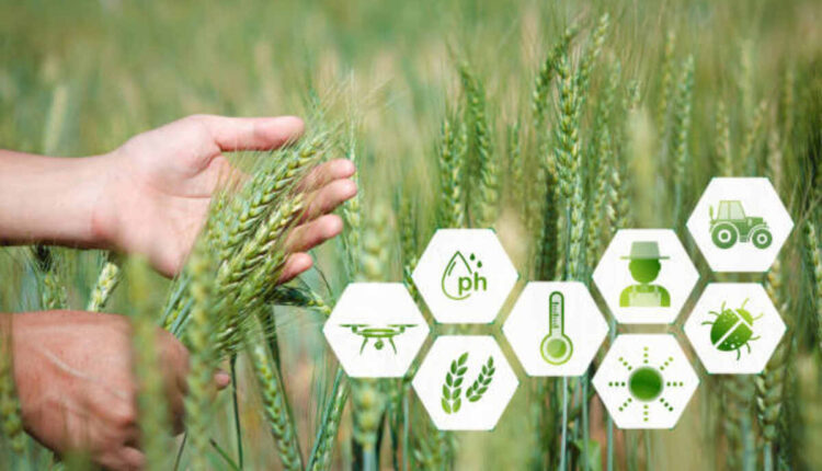 Important things about Biochar in Sustainable Formation