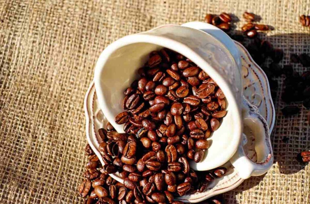 Coffee bean Ultimate 10